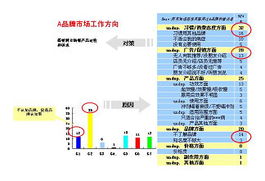 市場調查研究 洞察商機、驅動決策——以豪森威為例